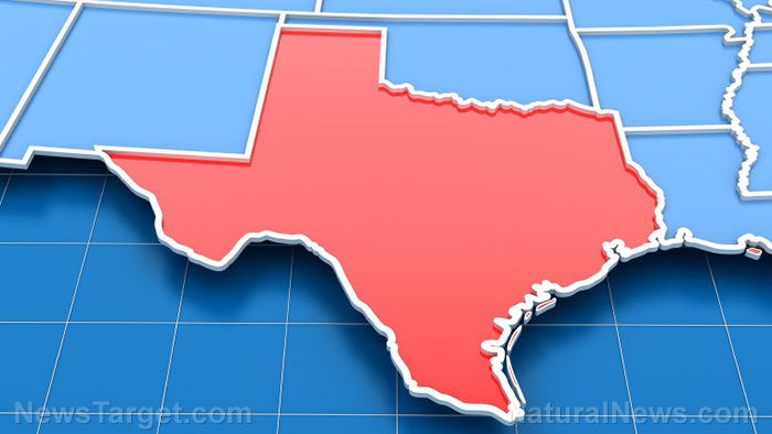 Image: Tex-it? Lone Star State congressman plans to file bill for Texas to secede from the US
