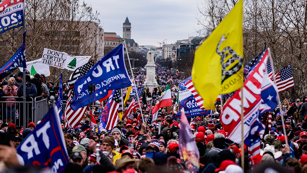 Image: A study shows VERY FEW Capitol Hill rioters were QAnon red-staters with ties to ‘right-wing’ groups