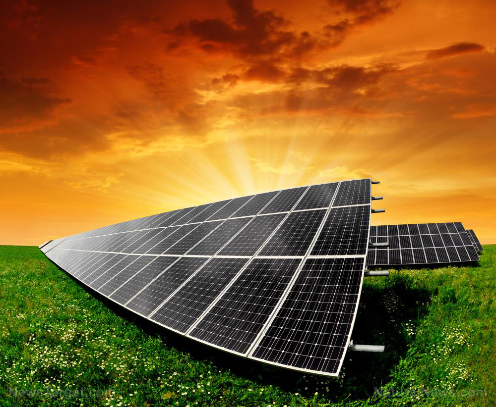 Image: Solar cell technology is being adapted to detect chemical warfare agents and pesticides