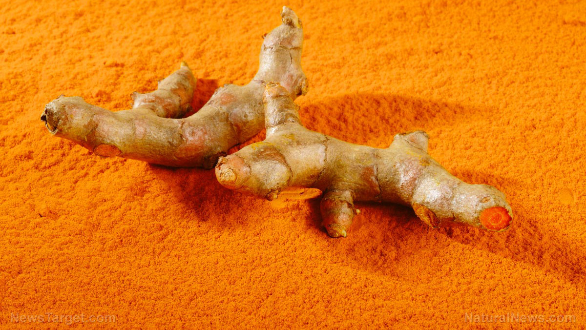 Image: Turmeric from Bangladesh sometimes contains lead-laced chemical compounds, study finds