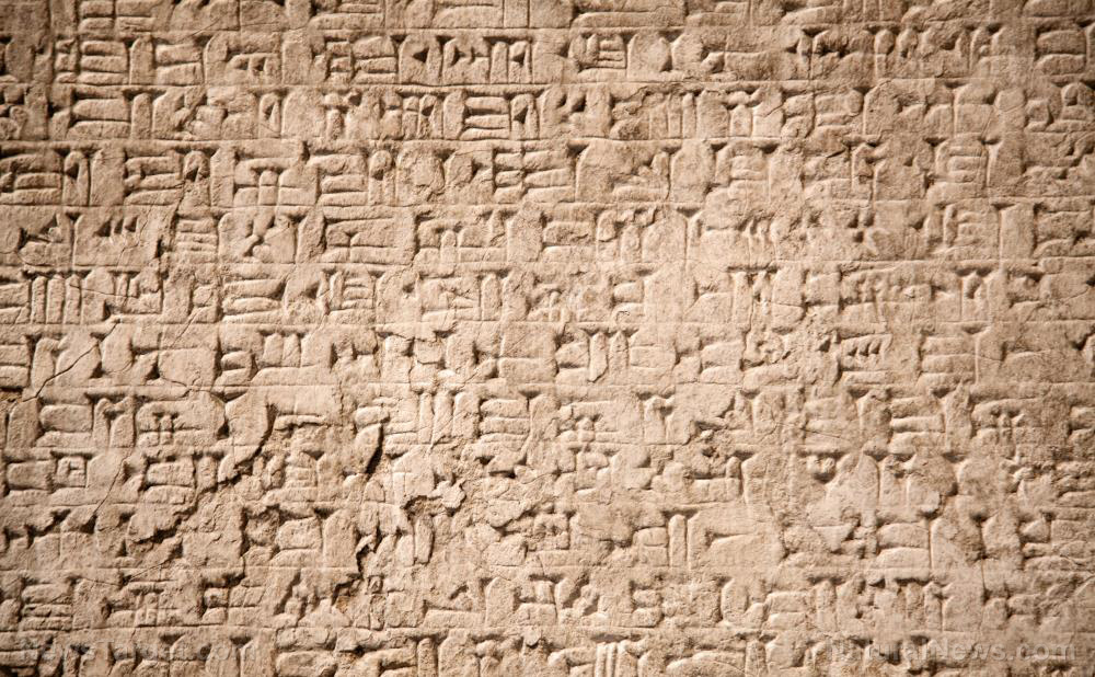 Image: Ancient potsherd inscription may be the missing link in the alphabet’s history, researchers suggest