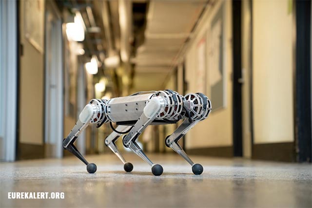 Image: Chinese four-legged robot sparks speculation that its makers stole US tech