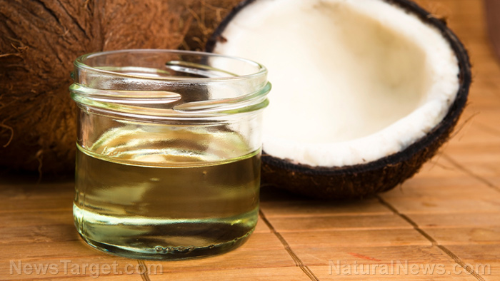 Image: Survival medicine: 10 Medicinal uses of coconut oil