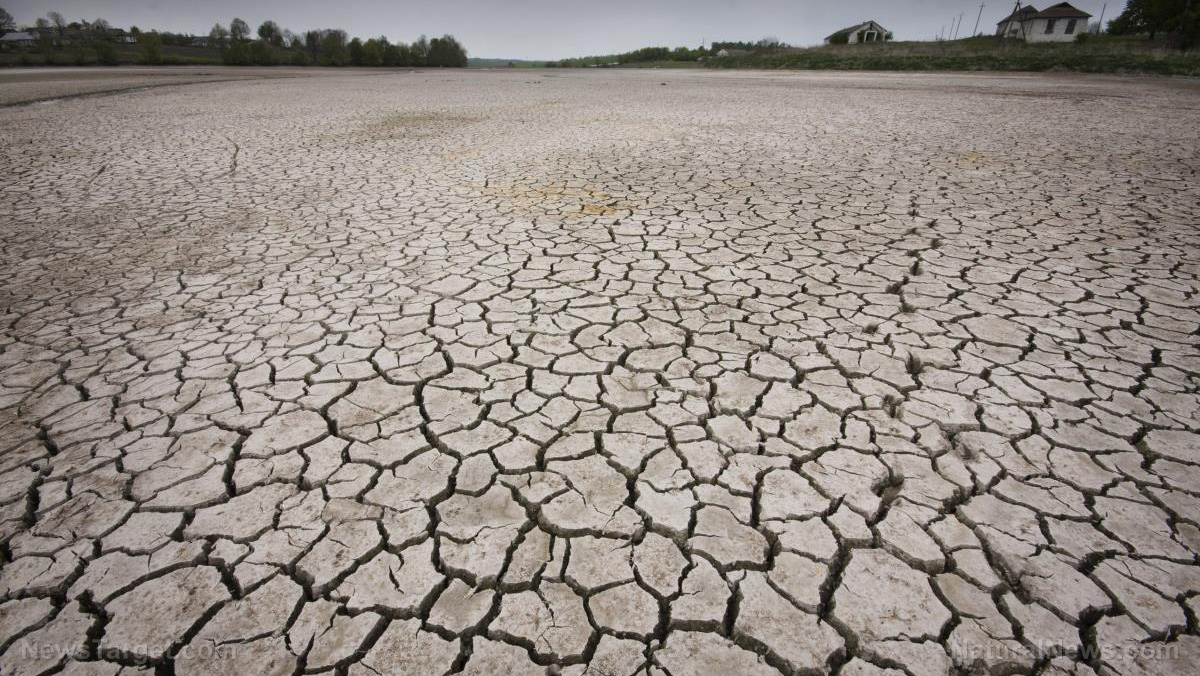 Image: Megadrought nightmare: No water for crops, horrific wildfires, colossal dust storms and draconian water restrictions