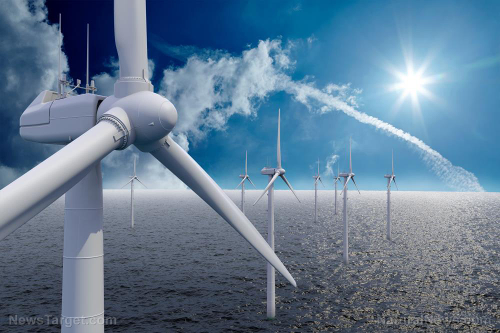 Image: Wind power emits 75 percent less carbon than solar energy, according to new report