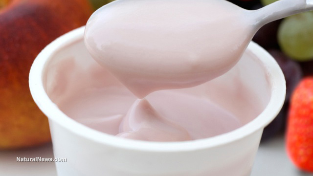 Image: Researchers discover that Kefir (fermented yogurt) can halt cytokine storms observed during SARS-CoV-2 infections