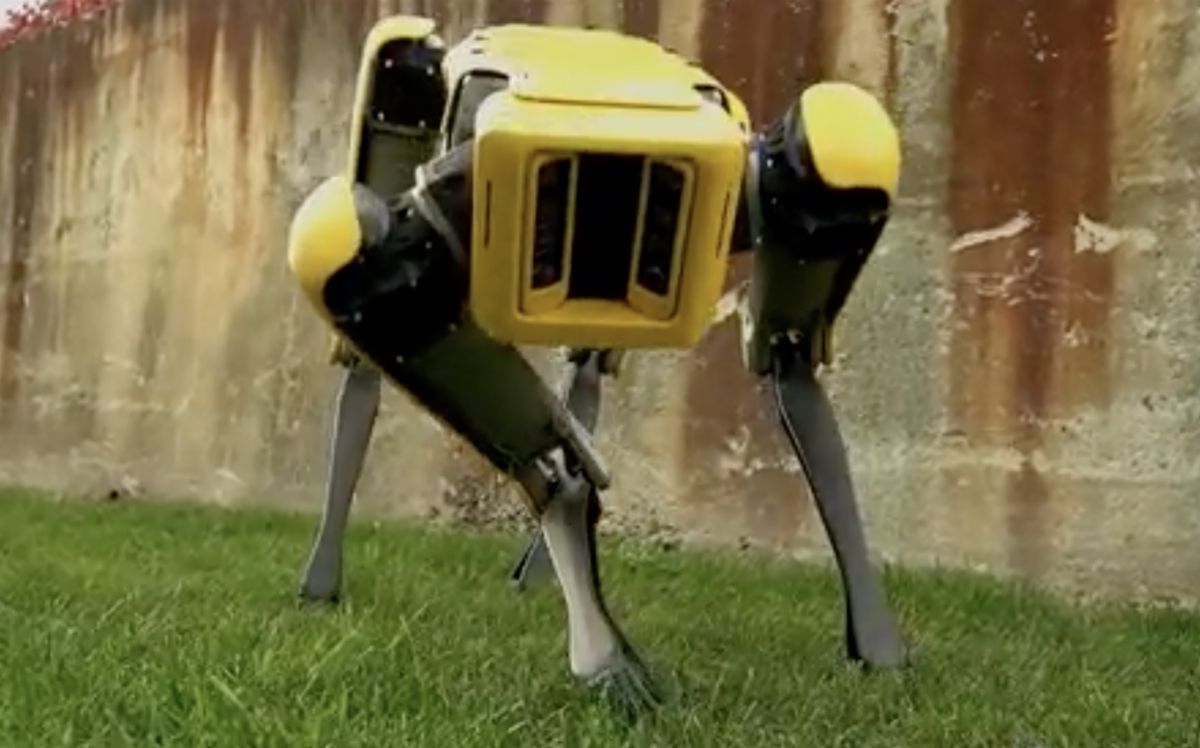 Image: Air Force deploying creepy robot dogs to enhance security at military base in Florida