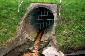 Image: Wisconsin to liquefy the dead, flush into sewers, then spread the goo on food farms