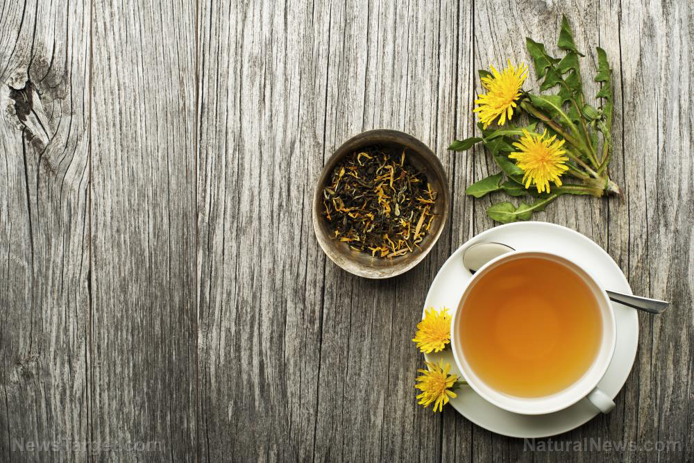 Image: Forager favorites: How to make dandelion tea, salad and jelly