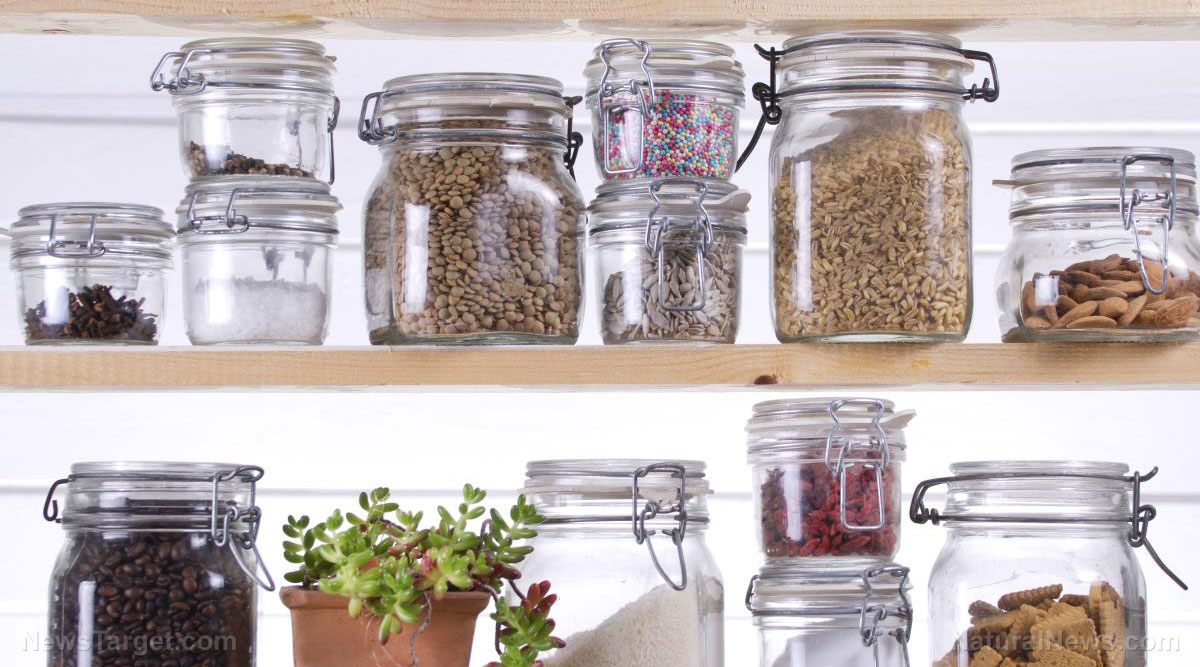 Image: 4 Best food storage containers for your stockpile