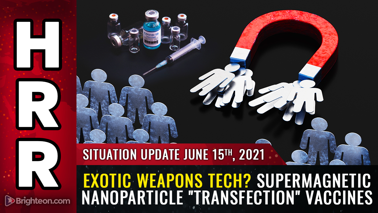 Image: Situation Update: Economic alarms, illegal invasion of the USA, supermagnetic nanoparticle “transfection” vaccines enable biological KILL SWITCH