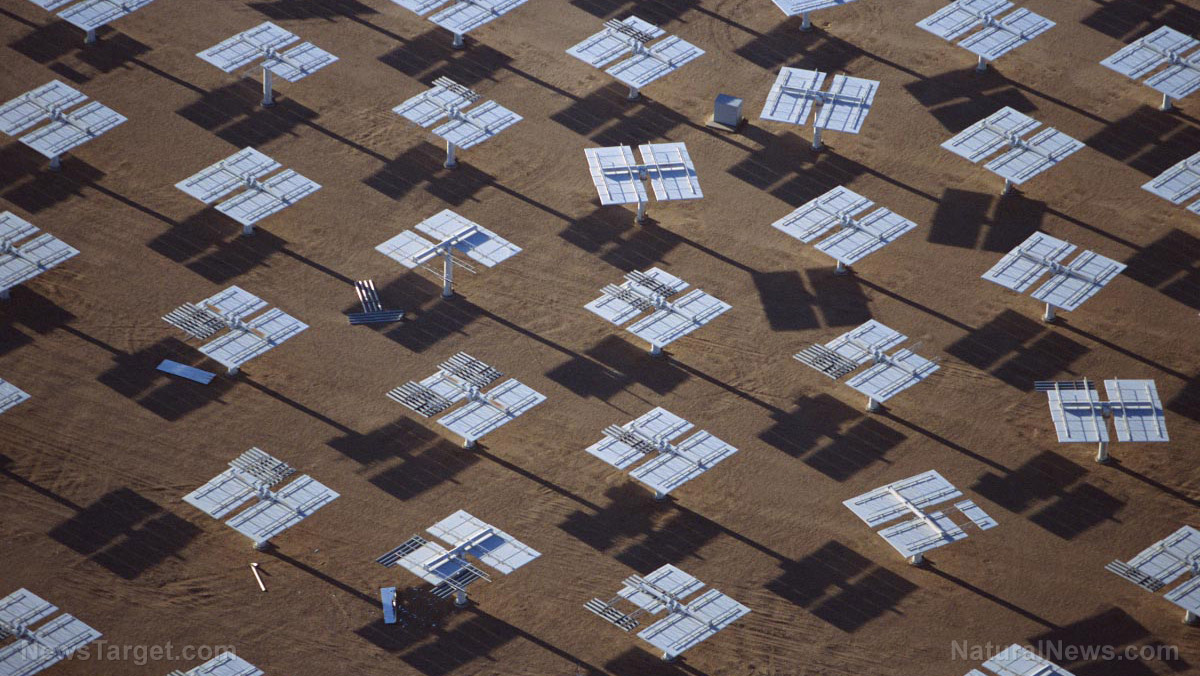Image: US bans solar panel materials from Chinese company due to its use of slave labor