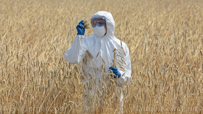 Image: Jennifer Kahn’s ‘love GMOs’ NYT article is propaganda, not journalism