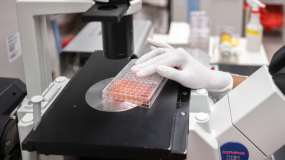 Image: Australia insists on using FALSE coronavirus tests that cost $1 billion in tax money