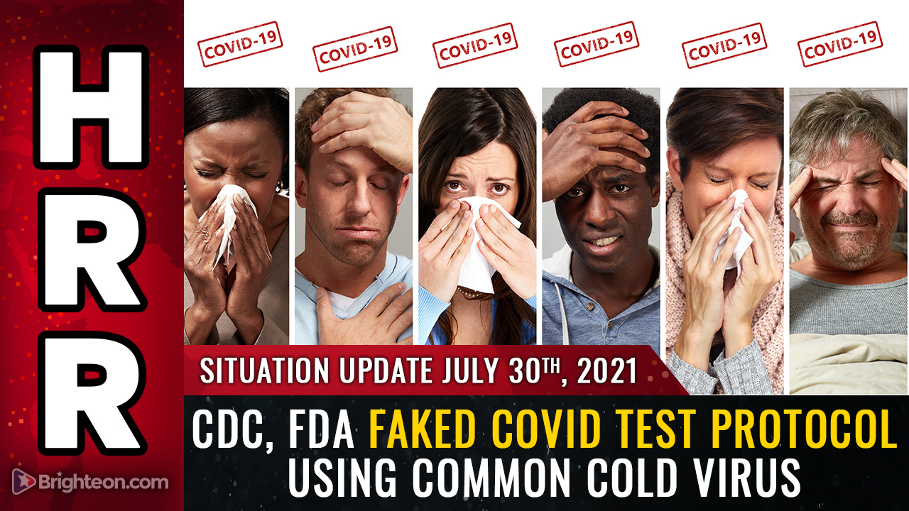 Image: BREAKING: CDC, FDA faked “covid” testing protocol by using human cells mixed with common cold virus fragments… PCR tests are merely detecting the common cold