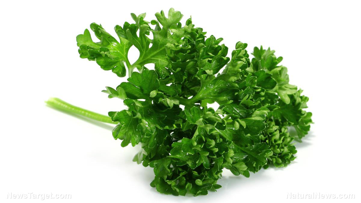 Image: Prepper medicine: How to use parsley, a versatile medicinal herb