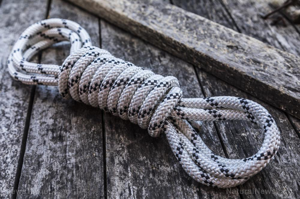 Image: 6 Types of rope and why you need them for survival