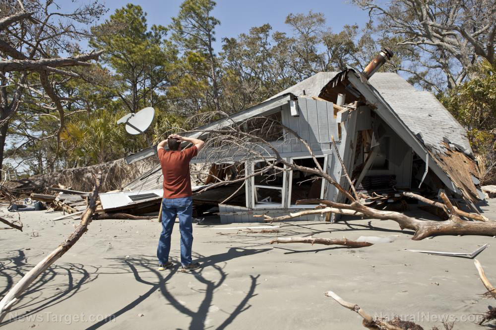 Image: Emergency preparedness: Designing a natural disaster-proof home
