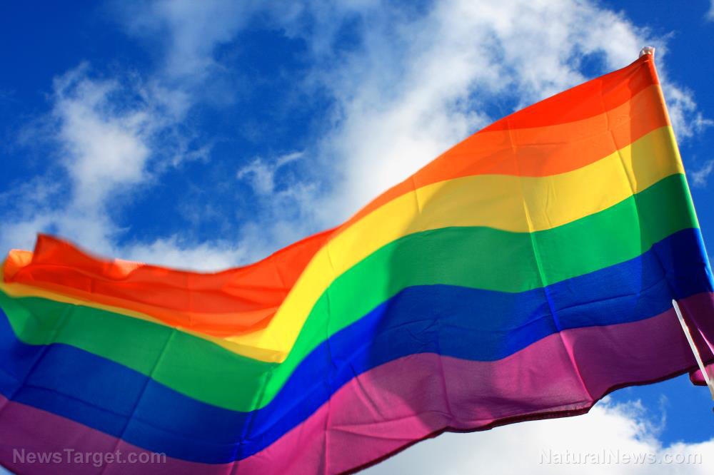 Image: SHAME: California public school teacher encourages students to pledge allegiance to LGBT pride flag instead of American flag