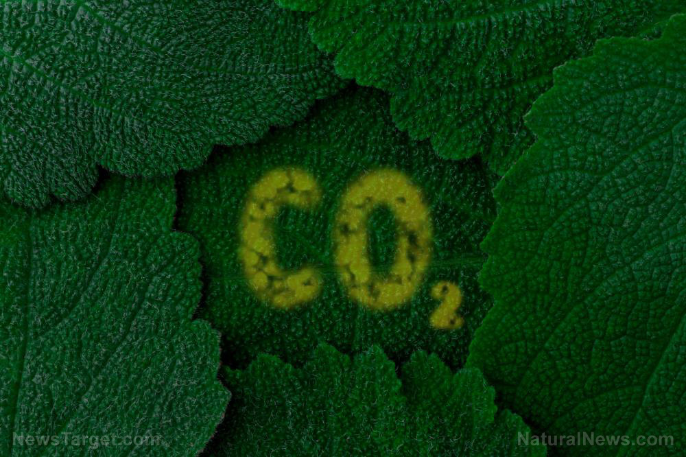 Image: From light to liquid fuel: Experts use sunlight and a copper-based catalyst to turn carbon dioxide into methanol