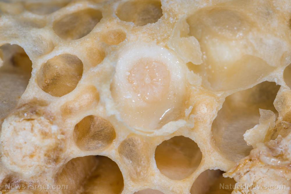 Image: The benefits of royal jelly for menopausal women