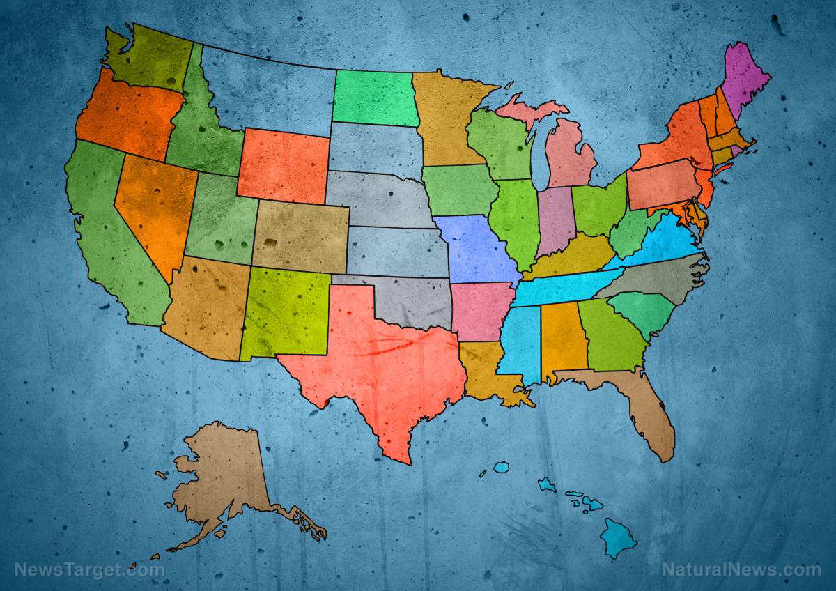 Image: More than half of U.S. states vow to fight Biden’s vaccine mandate