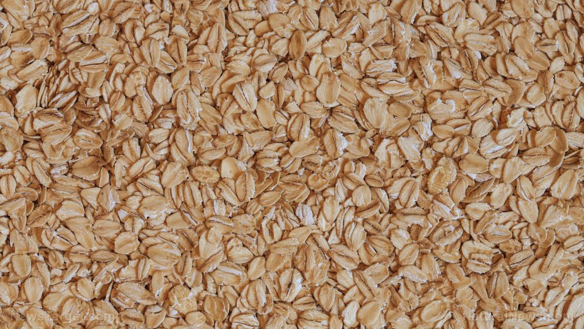 Oat prices hit record high as fiat currency Ponzi scheme drives food inflation - Vimarsana News