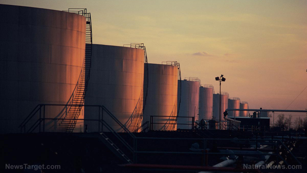 Green policies return the world to coal - Vimarsana News