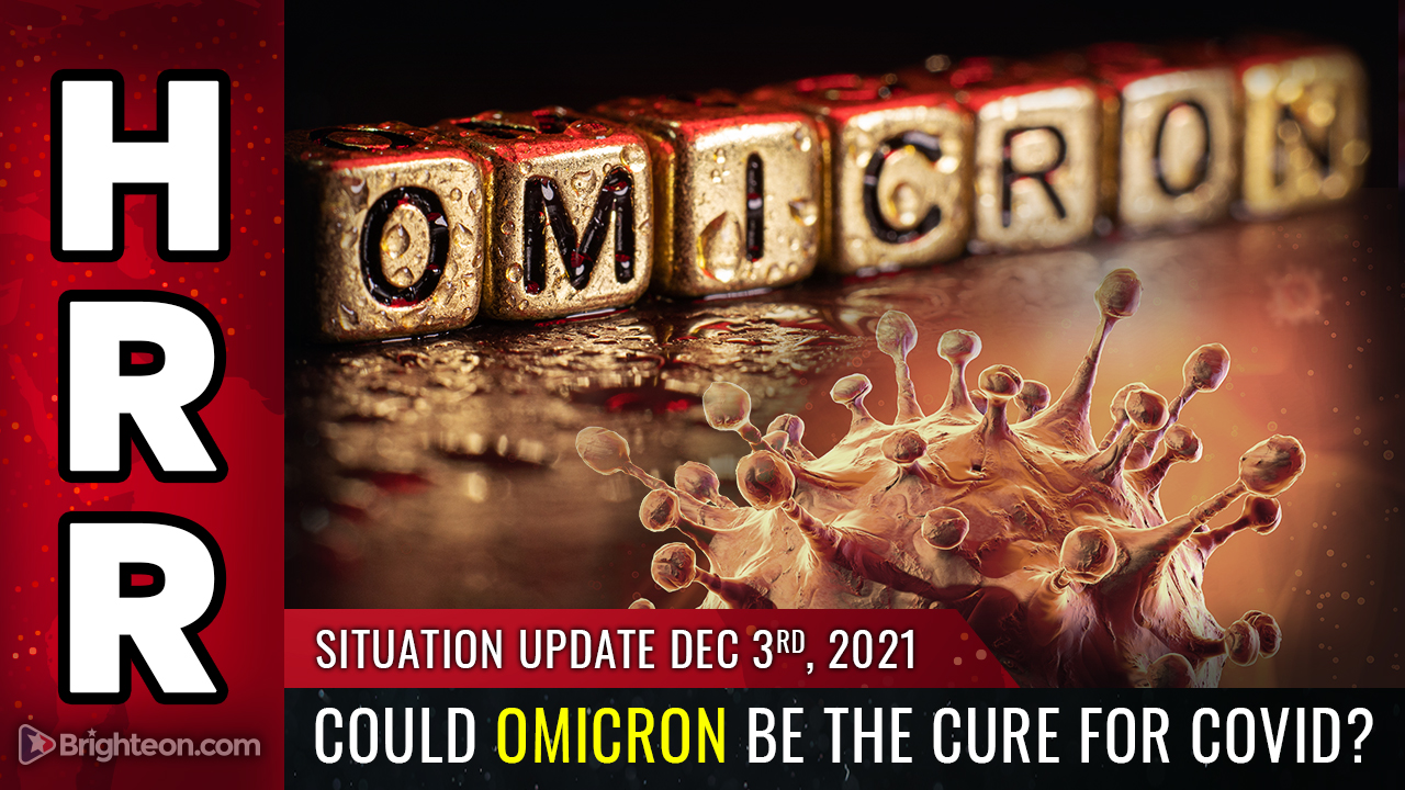 Image: BOMBSHELL: Could OMICRON be the CURE for covid? Highly infectious strain with “mild” symptoms could deliver worldwide natural immunity and make vaccines obsolete