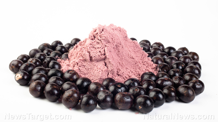 Image: Nutrient-dense acai berries: The ultimate superfood for optimal health