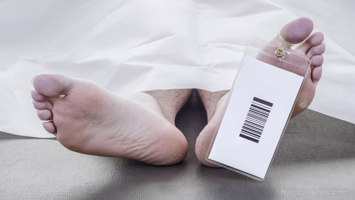 Image: Le directeur de funérailles trouve des caillots de sang bizarres et caoutchouteux dans les corps des vaccinés