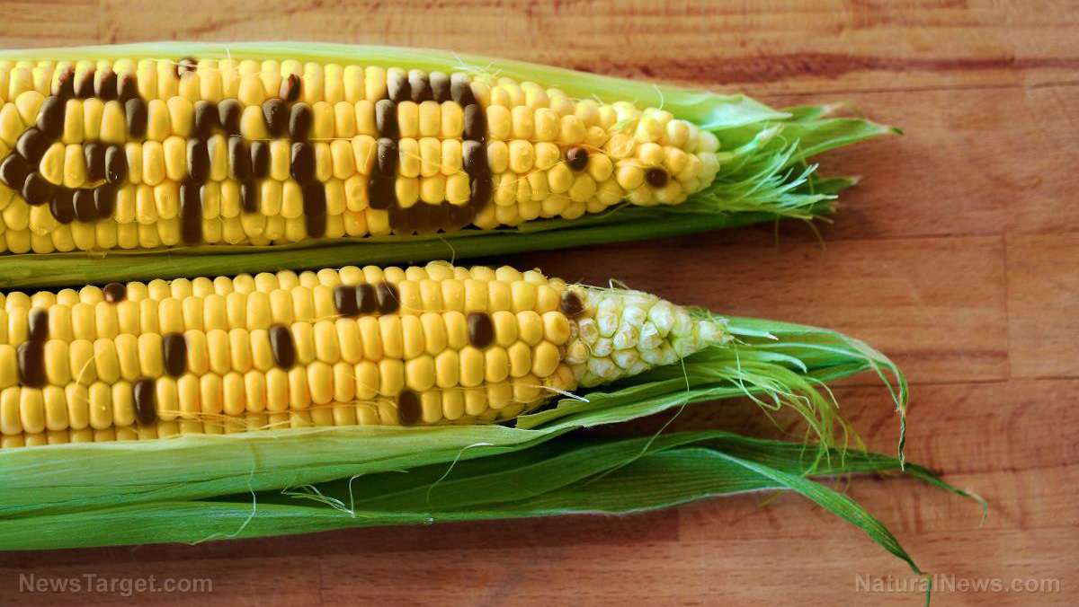 Image : Ne vous y trompez pas : les aliments OGM seront désormais étiquetés « bio-ingénierie » en vertu d'une nouvelle règle entrant en vigueur