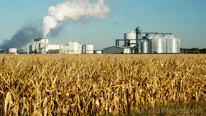 Image: Communist China seizing control of American food supply with massive corn processing plant in North Dakota
