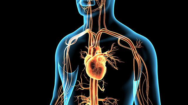 Image: Study: Myocarditis rates much higher in Moderna-vaccinated people than government claims