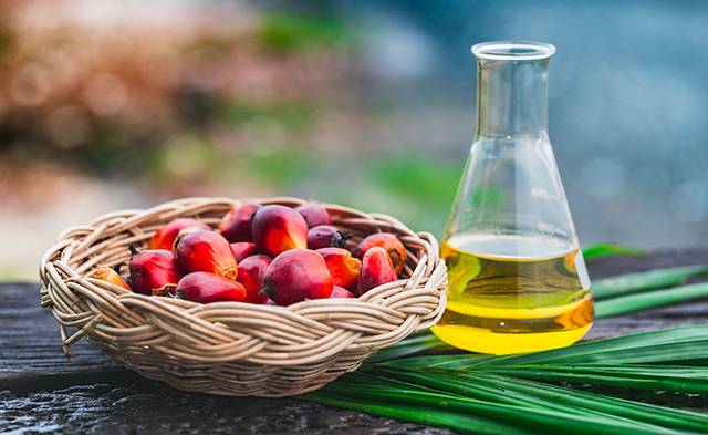 Cooking oil's price surge signals worsening global food inflation - Vimarsana News