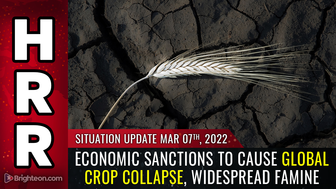 Image: Global crop collapse now a certainty… widespread famine to plague planet Earth from 2022 – 2024… it is set in motion and cannot be stopped