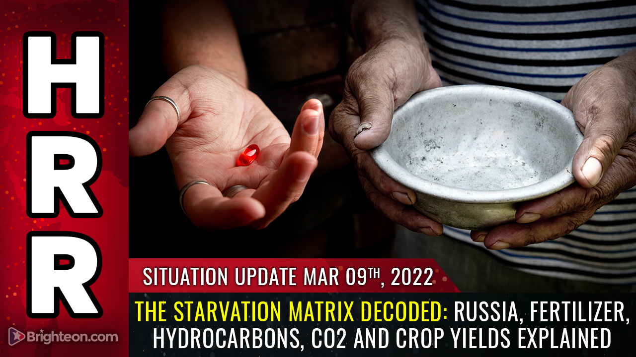 Image: The STARVATION MATRIX decoded: Russia, fertilizer, hydrocarbons, CO2, the Haber equation and crop yields explained
