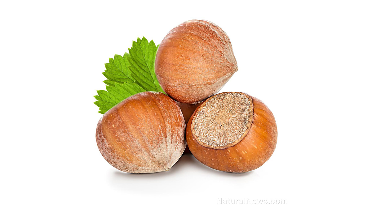 Image: 5 Health benefits of hazelnuts, a powerhouse of nutrition