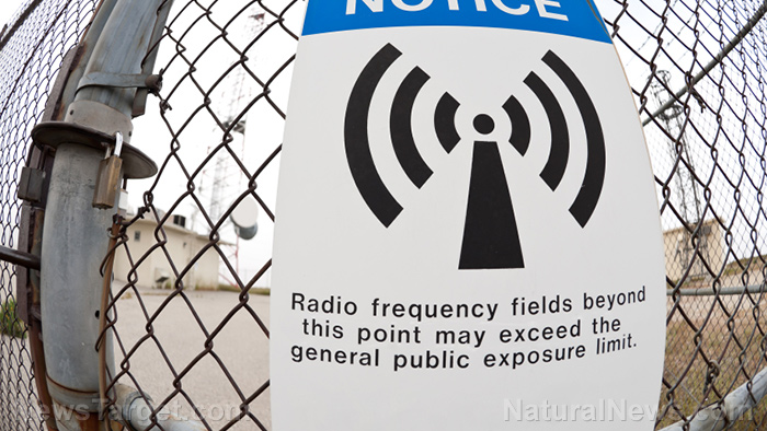 Image: FCC refuses to budge on calls to update its radio frequency radiation and health impact guidelines