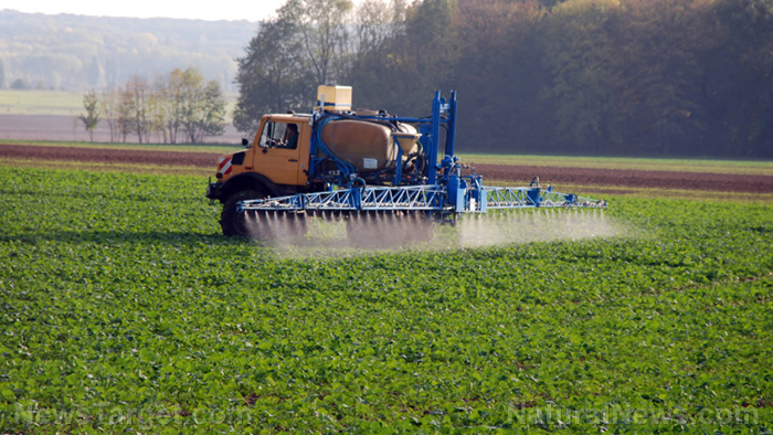 Image: Shortage of key fertilizer ingredient threatens Aussie food supply chain