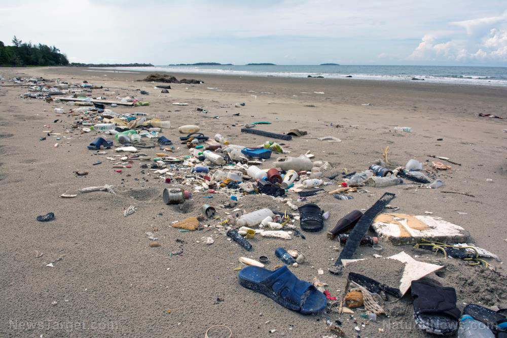 Image: Trash-to-fuel research could reduce mountains of plastic waste