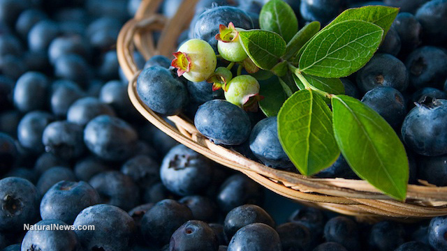 Image: Blueberry juice has been proven to boost brain function