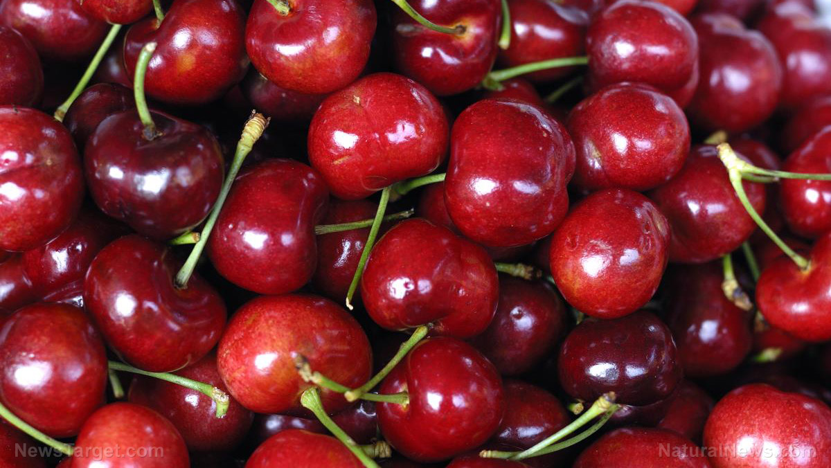 Image: Improve sleep quality and boost heart health: 7 Reasons to eat nutrient-rich cherries
