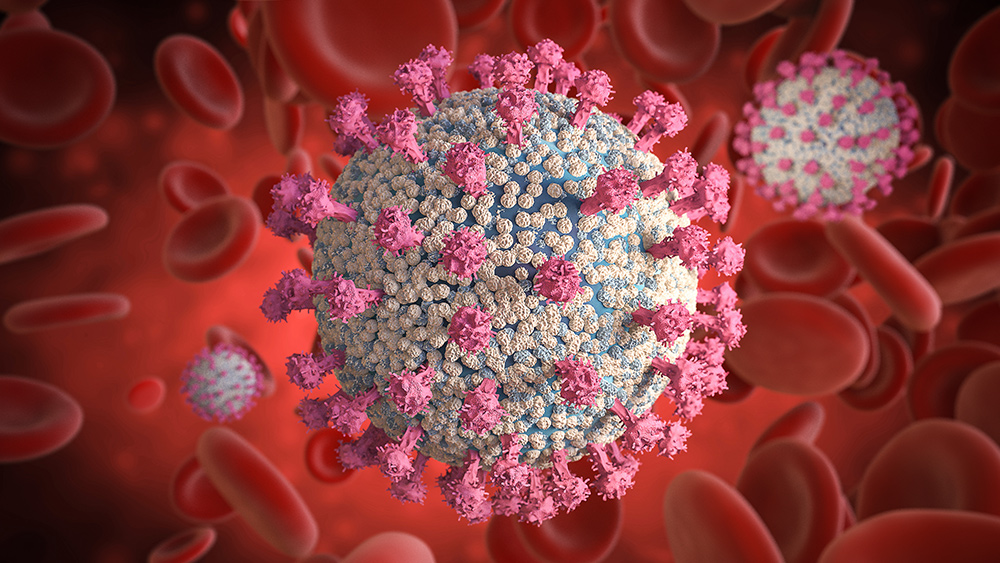 Image: Coronavirus antibodies plummet by half in under 3 months after peaking – study