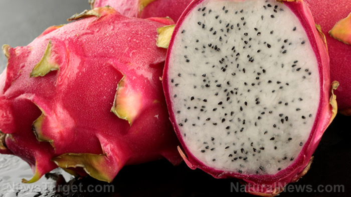 Image: Researchers discover the digestive benefits of dragon fruit powder
