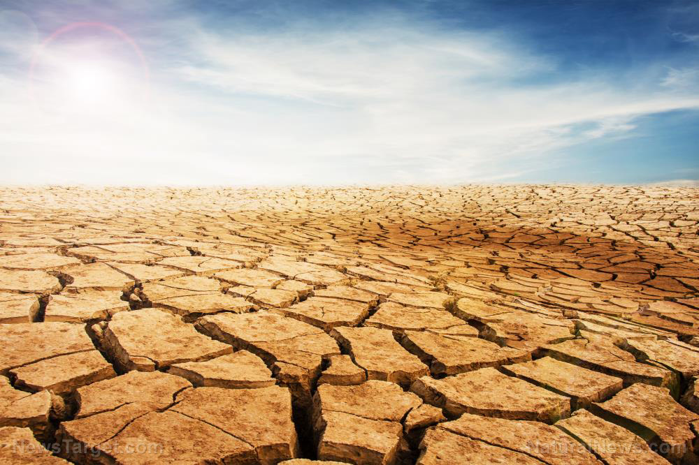 Image: Government approves weather control “cloud seeding” operation in New Mexico in desperate bid to create rainfall