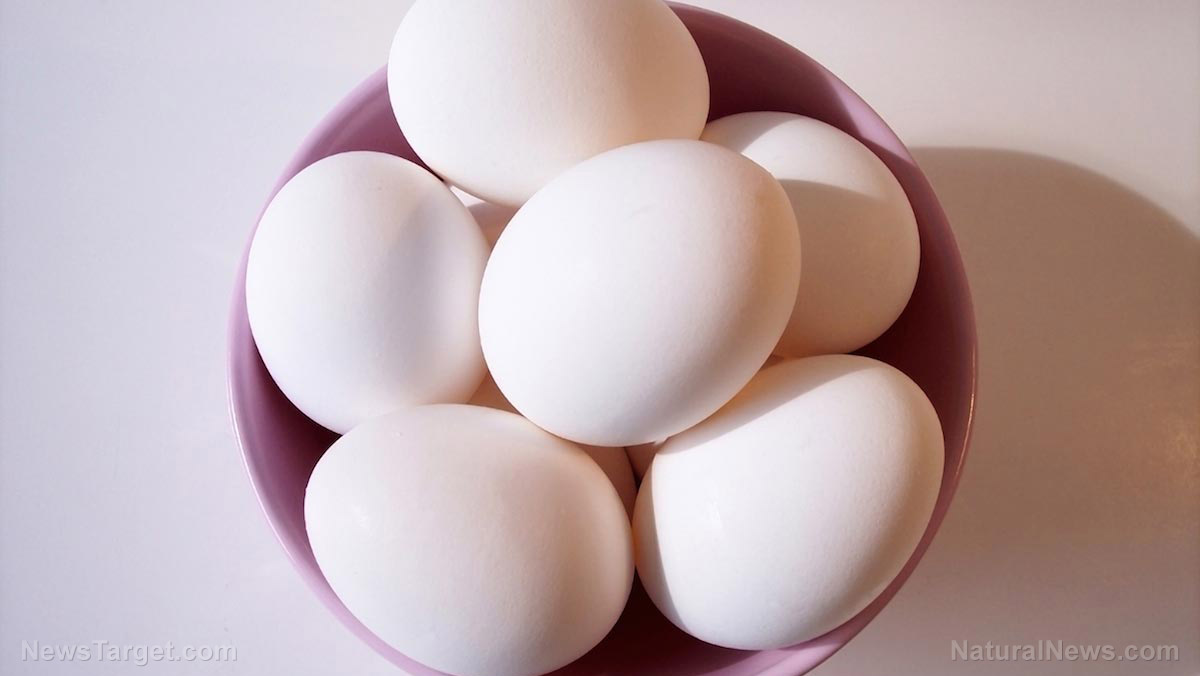 Image: Study: Nutrient in eggs and meat found to significantly reduce dementia risk