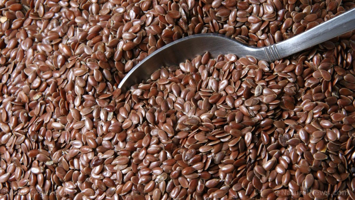 Image: Assessing the antimicrobial activity of flaxseed