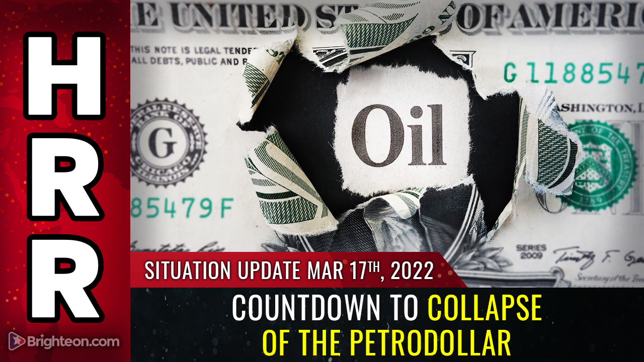 Image: COUNTDOWN to collapse of the petrodollar… America’s dollar dominance is coming to a sudden, catastrophic end… total CHAOS will follow