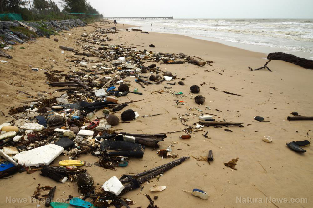 Image: Plastic food packaging overtakes cigarette butts as most abundant litter on beaches